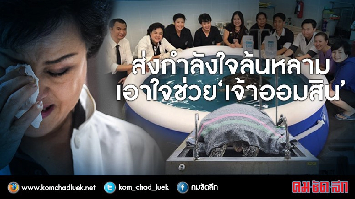 ทีมแพทย์ "เต่าออมสิน" แถลงอาการ บ่ายนี้ ทีมแพทย์ "เต่าออมสิน" แถลงอาการ บ่ายนี้