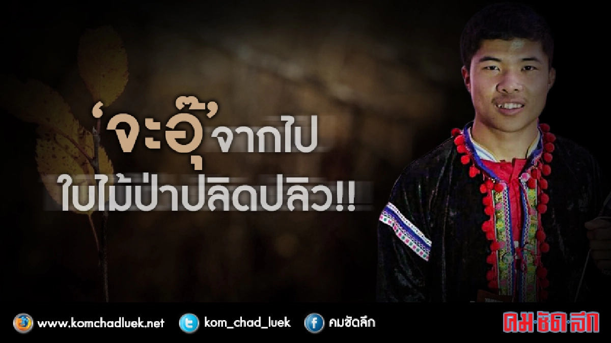 “จะอุ๊ - ชัยภูมิ ป่าแส” จากไป...ใบไม้ป่าปลิดปลิว! “จะอุ๊ - ชัยภูมิ ป่าแส” จากไป...ใบไม้ป่าปลิดปลิว!
