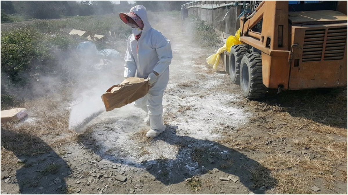 ไข้หวัดนก'A/H5N6'ระบาดเวียดนาม ไข้หวัดนก'A/H5N6'ระบาดเวียดนาม