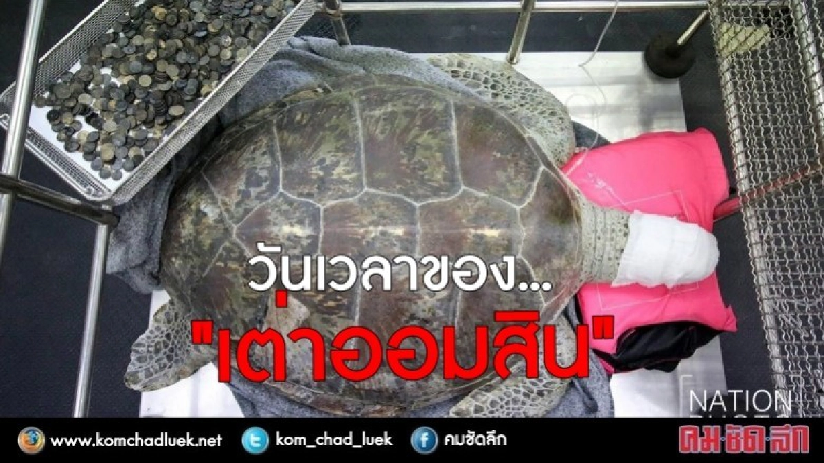 วันเวลาของ ... "เต่าออมสิน" 