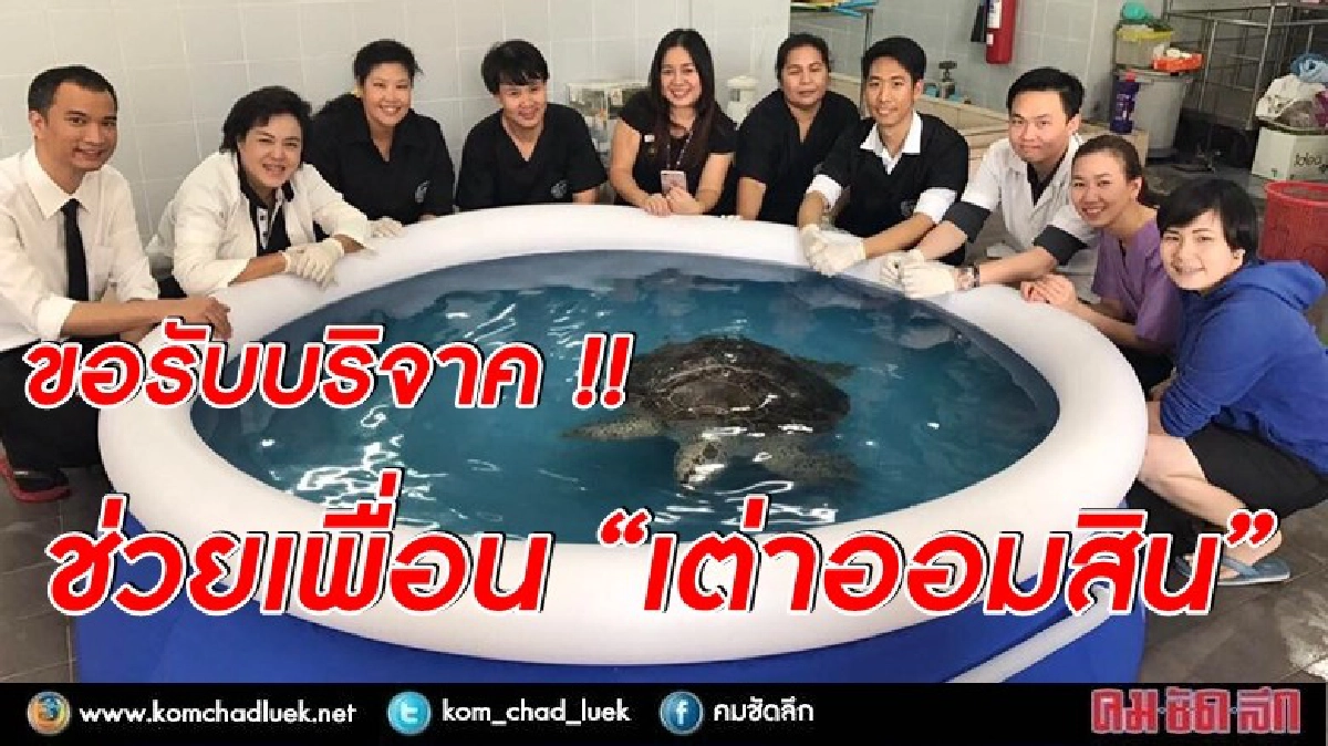 ช่วยเพื่อน “เต่าออมสิน” ด้วย !! ช่วยเพื่อน “เต่าออมสิน” ด้วย !!