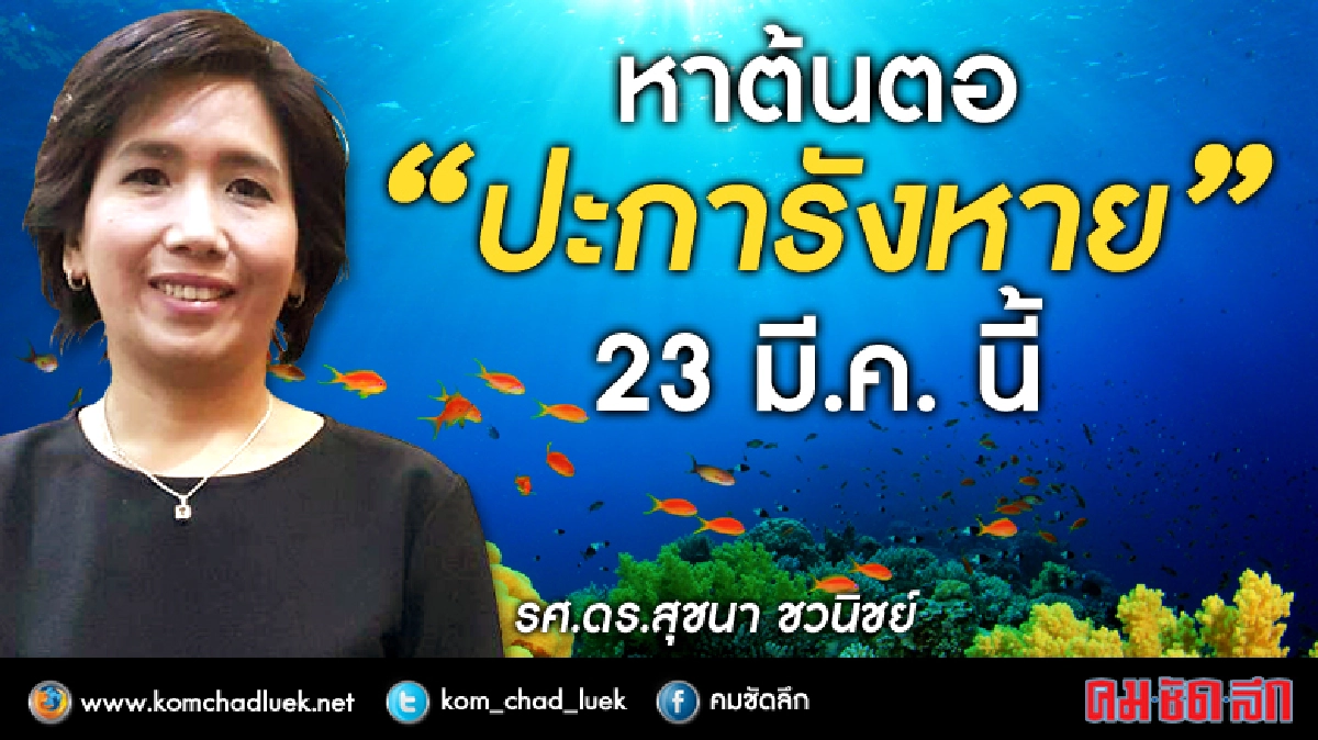 หาต้นตอ “ปะการังหาย” 23 มี.ค.นี้