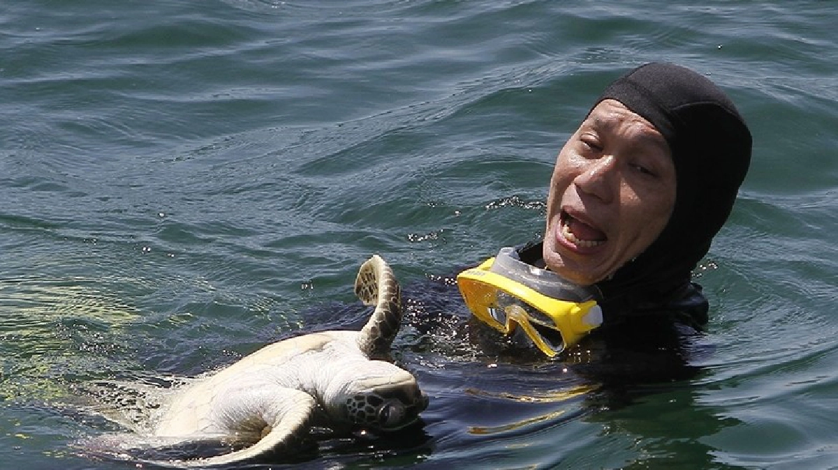 นักดำน้ำพยายามช่วยเหลือเต่าตนุ นักดำน้ำพยายามช่วยเหลือเต่าตนุ