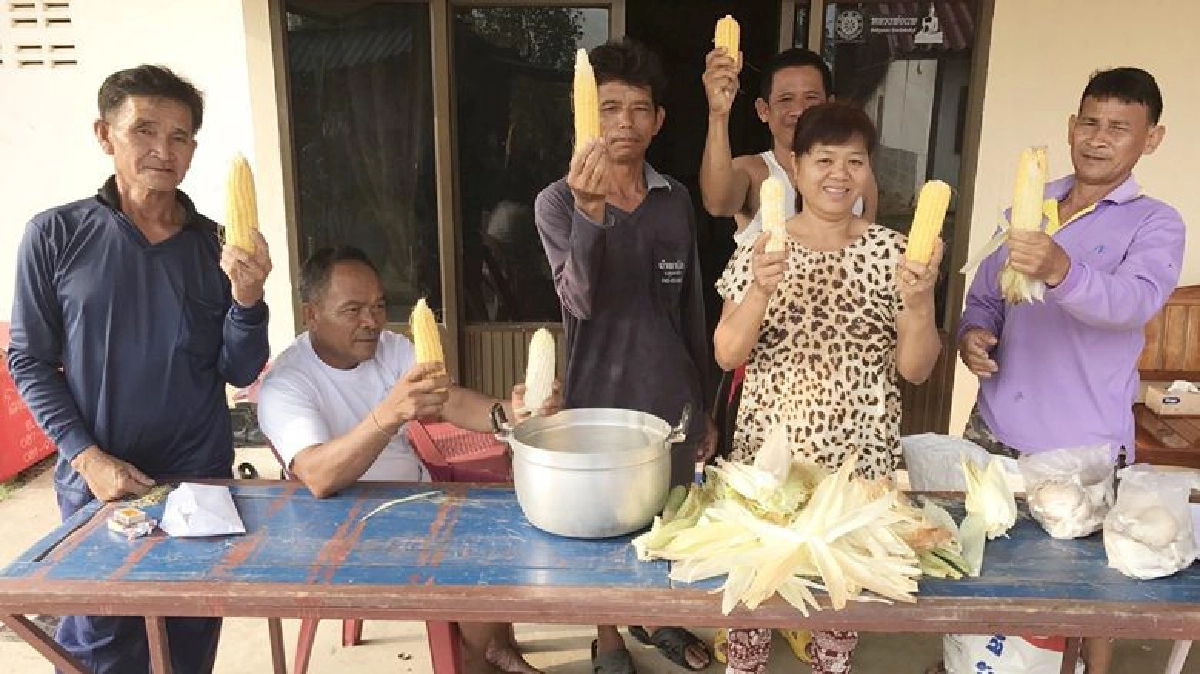 พ่อแชมป์โลกต้มข้าวโพดไว้เลี้ยงแขก พ่อแชมป์โลกต้มข้าวโพดไว้เลี้ยงแขก