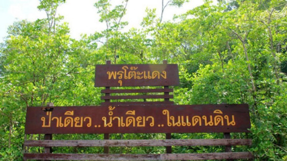 ฝนหลวงสนับสนุนการปฏิบัติการในพื้นที่จังหวัดนราธิวาส ฝนหลวงสนับสนุนการปฏิบัติการในพื้นที่จังหวัดนราธิวาส