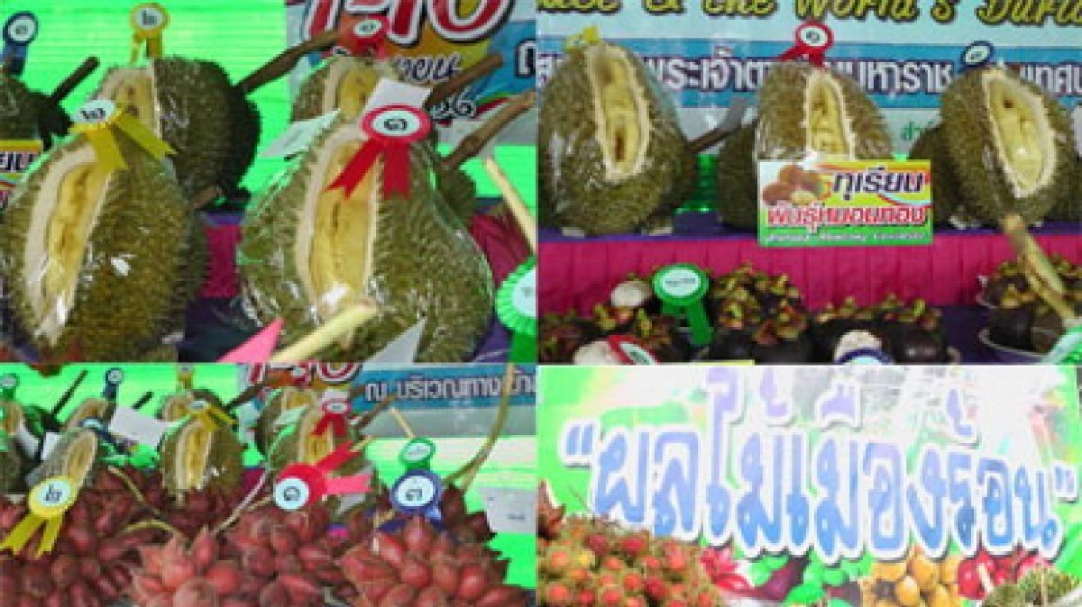 พาณิชย์ ผลักดันจันทบุรีเป็นมหานครแห่งผลไม้เอเชีย พาณิชย์ ผลักดันจันทบุรีเป็นมหานครแห่งผลไม้เอเชีย