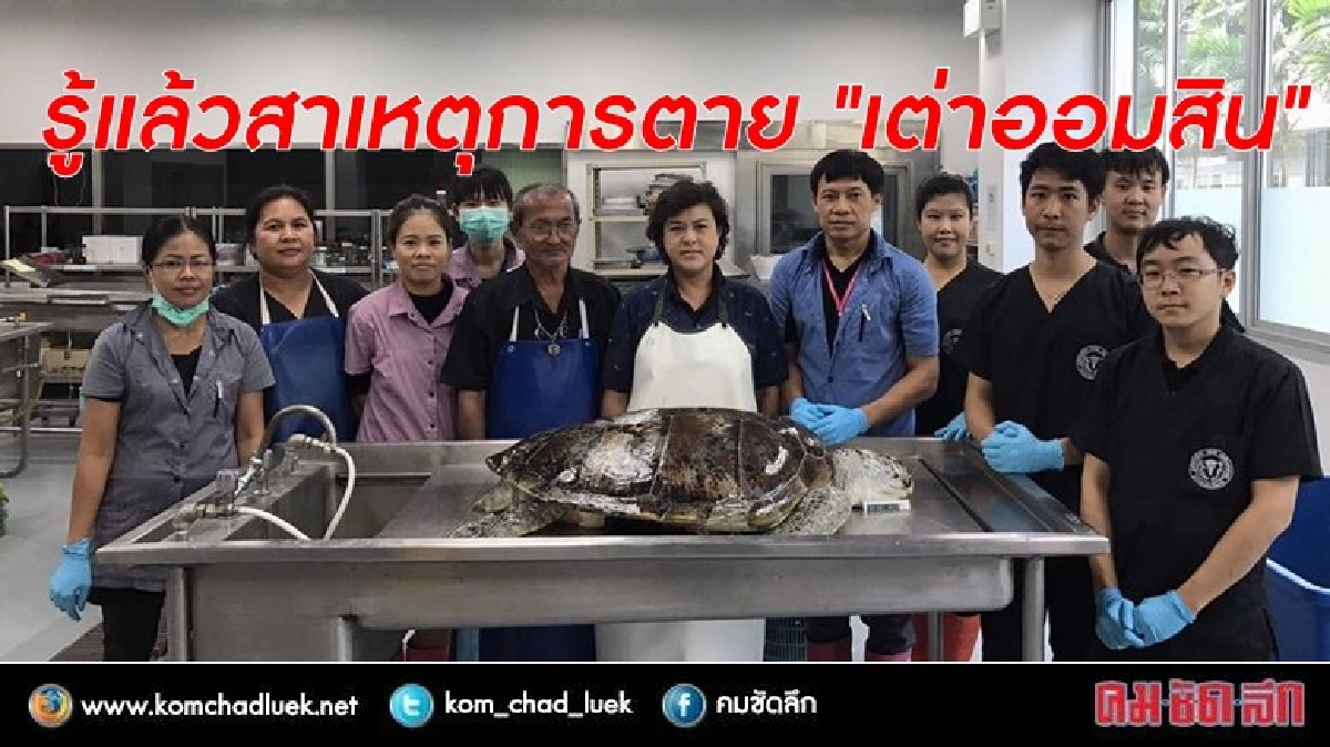 รู้แล้วสาเหตุการตาย "เต่าออมสิน" รู้แล้วสาเหตุการตาย "เต่าออมสิน"
