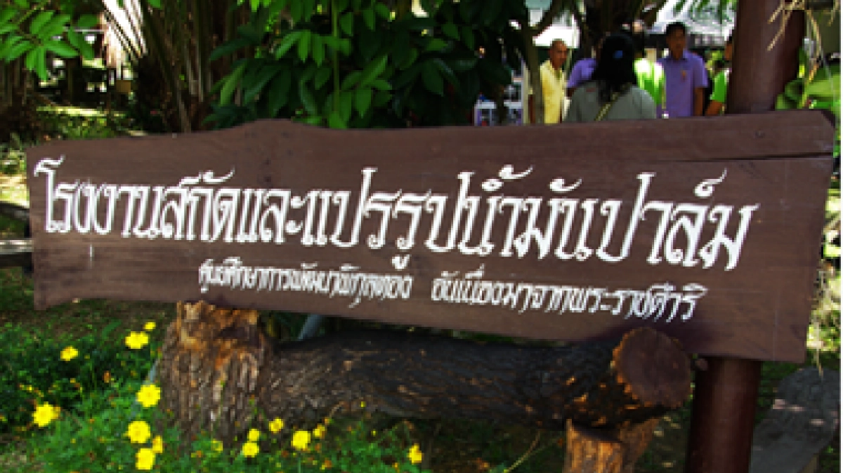 เล็งใช้พ.ร.บ.โรงงาน บังคับโรงสกัดรับซื้อปาล์มน้ำมัน