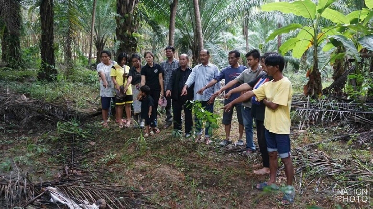 พบศูนย์กลาง 'แผ่นดินไหว' ในสวนปาล์มชุมพร