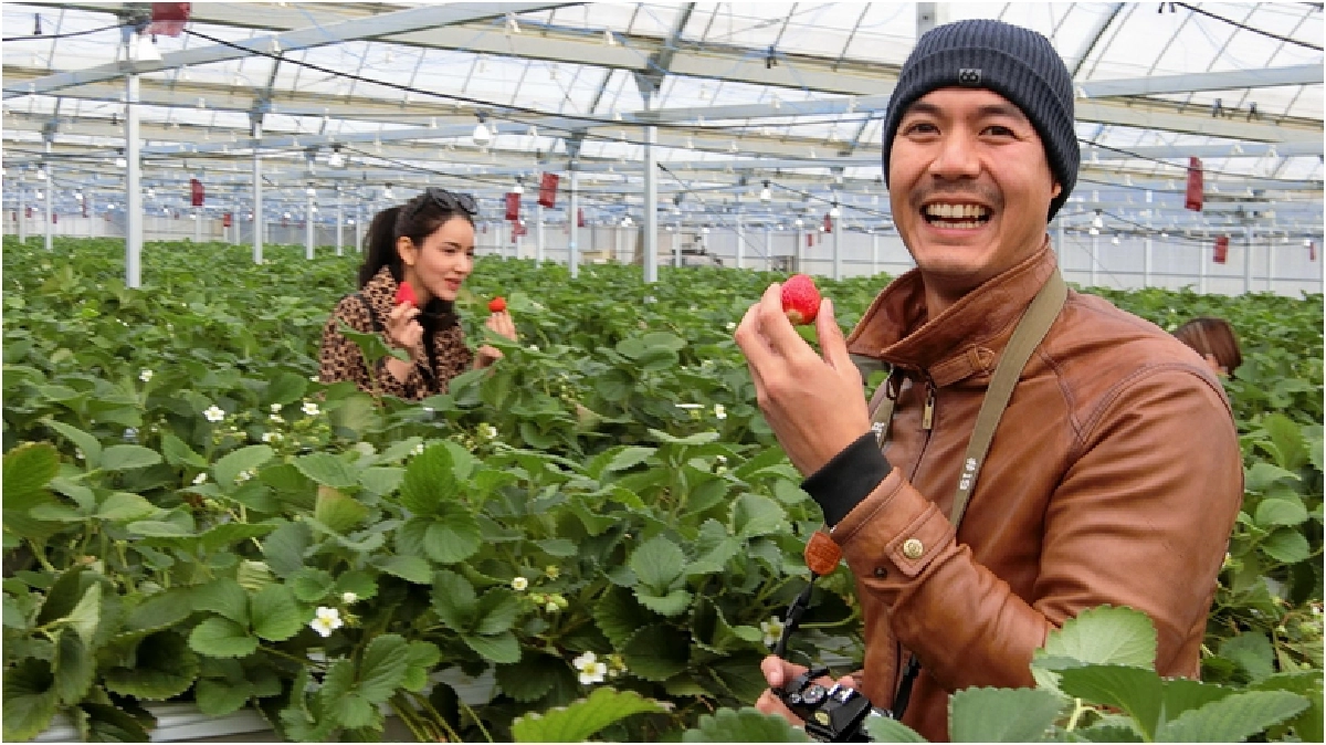“เวียร์-สน-ไมค์” ทัวร์เจแปนสุดหรู  