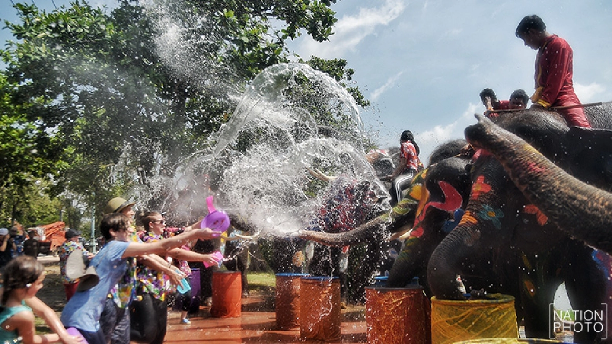 ภาพชุด ช้างอยุธยา เล่นน้ำสงกรานต์