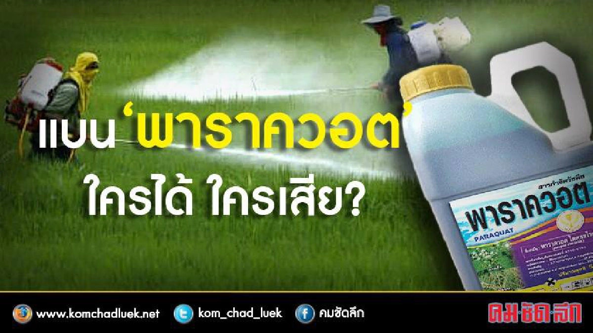 แบนสารเคมี 3 ตัว! ทางออกภาคการเกษตรไทยจริงหรือ...? แบนสารเคมี 3 ตัว! ทางออกภาคการเกษตรไทยจริงหรือ...?