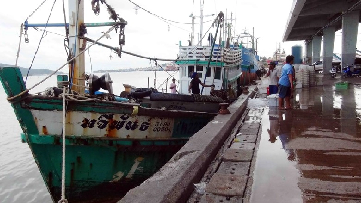 เปิดท่าเทียบเรือประมงสงขลาวันแรก