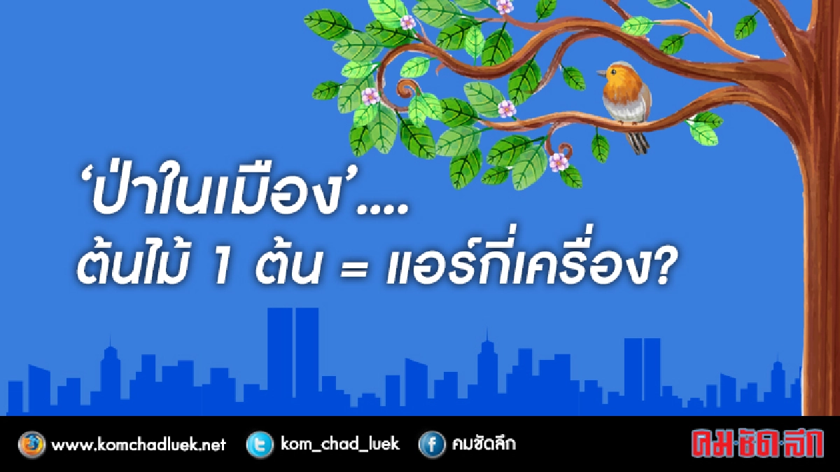 “ป่าในเมือง”..ต้นไม้1ต้น=แอร์กี่เครื่อง? “ป่าในเมือง”..ต้นไม้1ต้น=แอร์กี่เครื่อง?