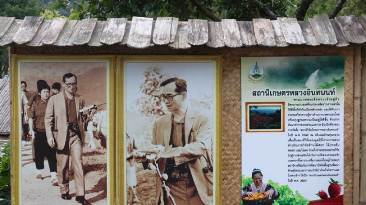 ตื่นตากาแฟต้นแรก กับการตามรอยในหลวง ร.9