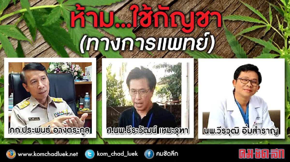 ไทยยังไม่อนุญาตให้ใช้กัญชาเพื่อประโยชน์ทางการแพทย์ ไทยยังไม่อนุญาตให้ใช้กัญชาเพื่อประโยชน์ทางการแพทย์