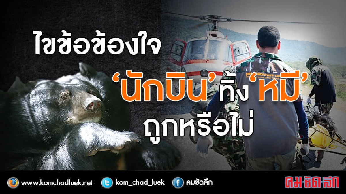 ไขข้อข้องใจ “นักบิน” ทิ้ง “หมี” ถูกหรือไม่!? ไขข้อข้องใจ “นักบิน” ทิ้ง “หมี” ถูกหรือไม่!?