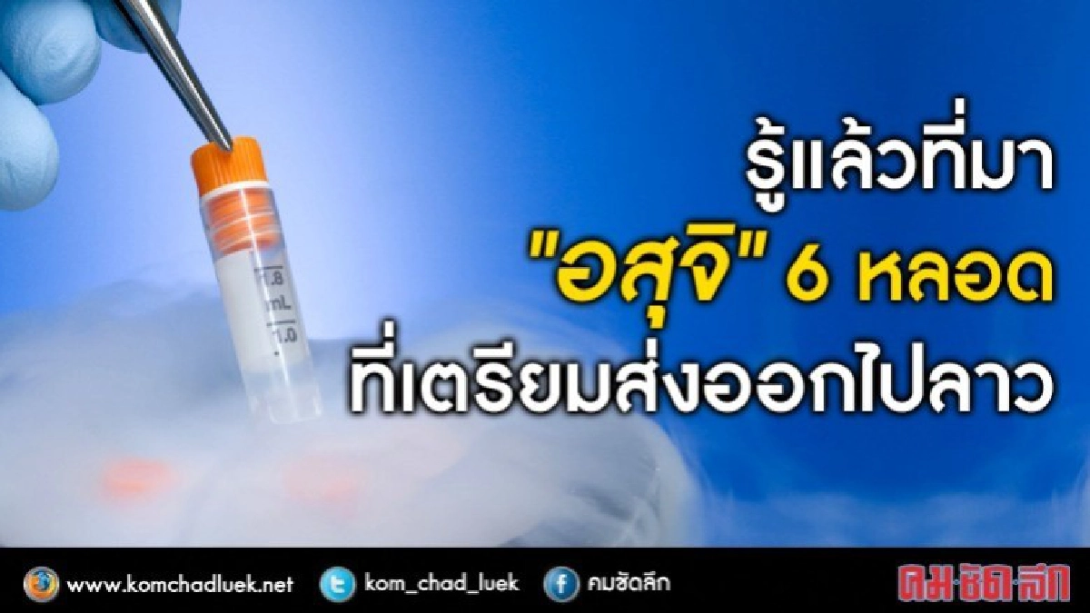 รู้แล้วที่มา "อสุจิ"6หลอดที่เตรียมส่งออกไปลาว