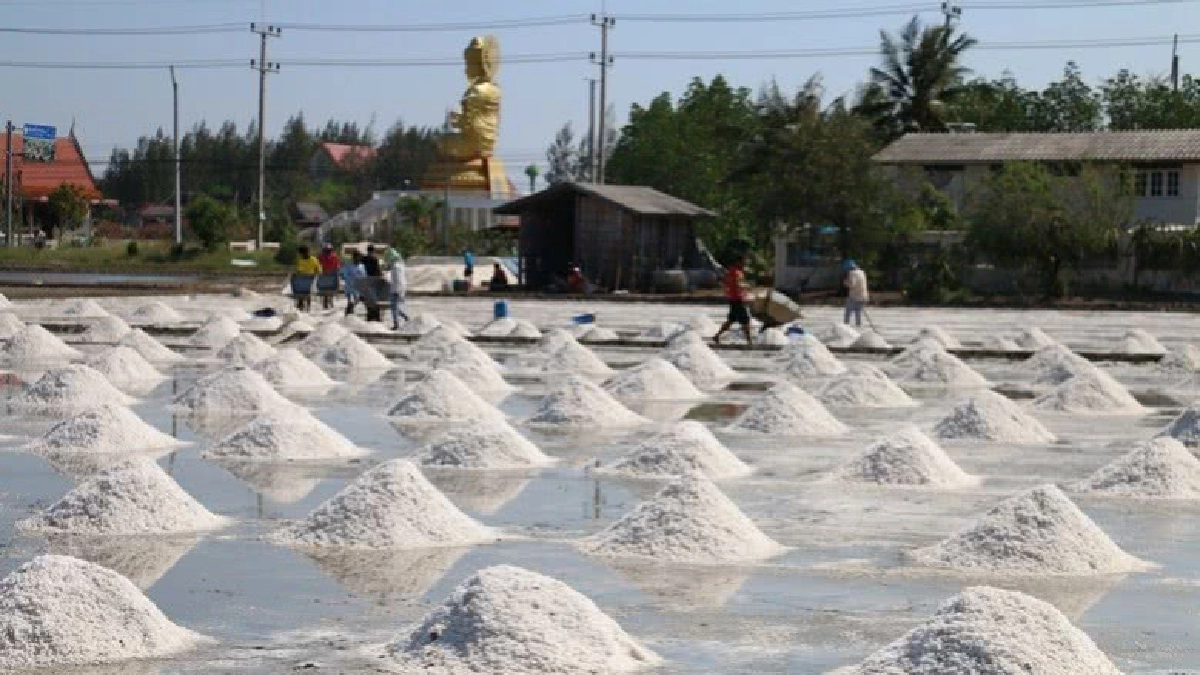 ต่อลมหายใจกังหัน...