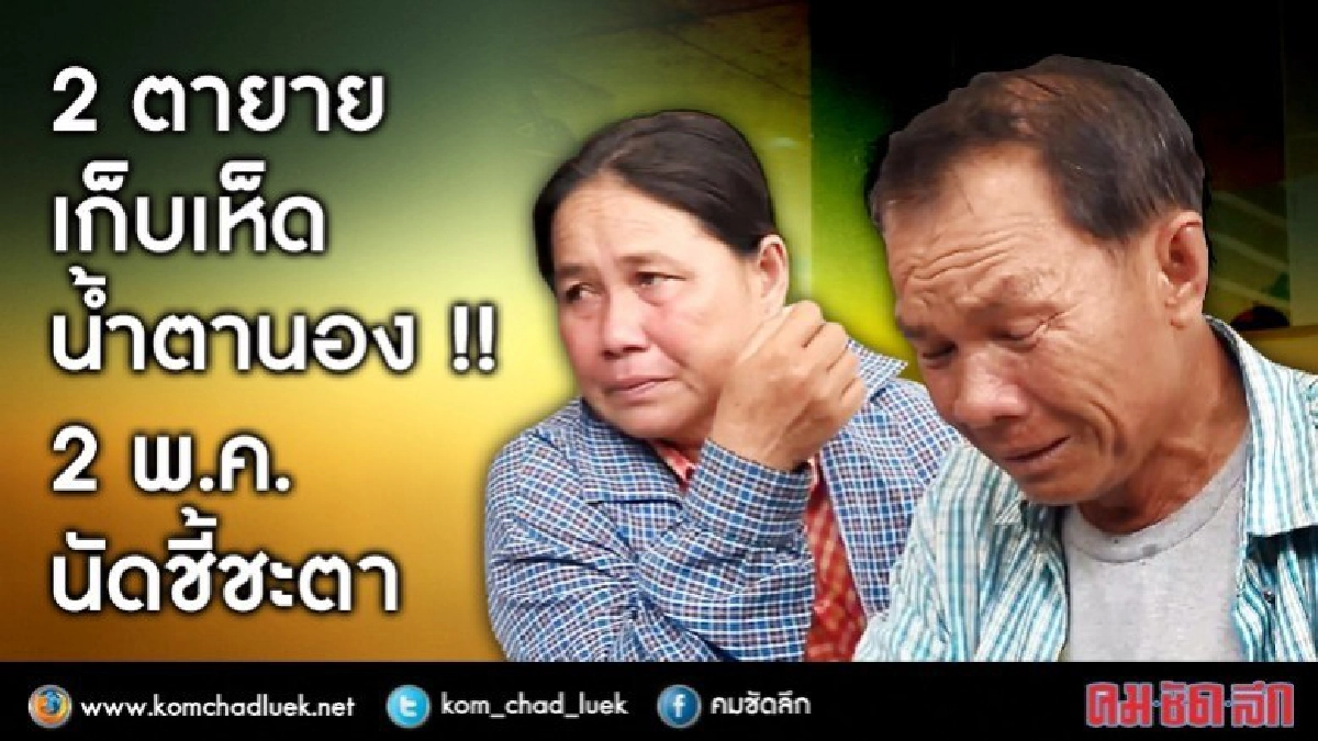 2 ตายายเก็บเห็ด น้ำตานอง 2 พ.ค. ศาลนัดชี้ชะตา !! 2 ตายายเก็บเห็ด น้ำตานอง 2 พ.ค. ศาลนัดชี้ชะตา !!