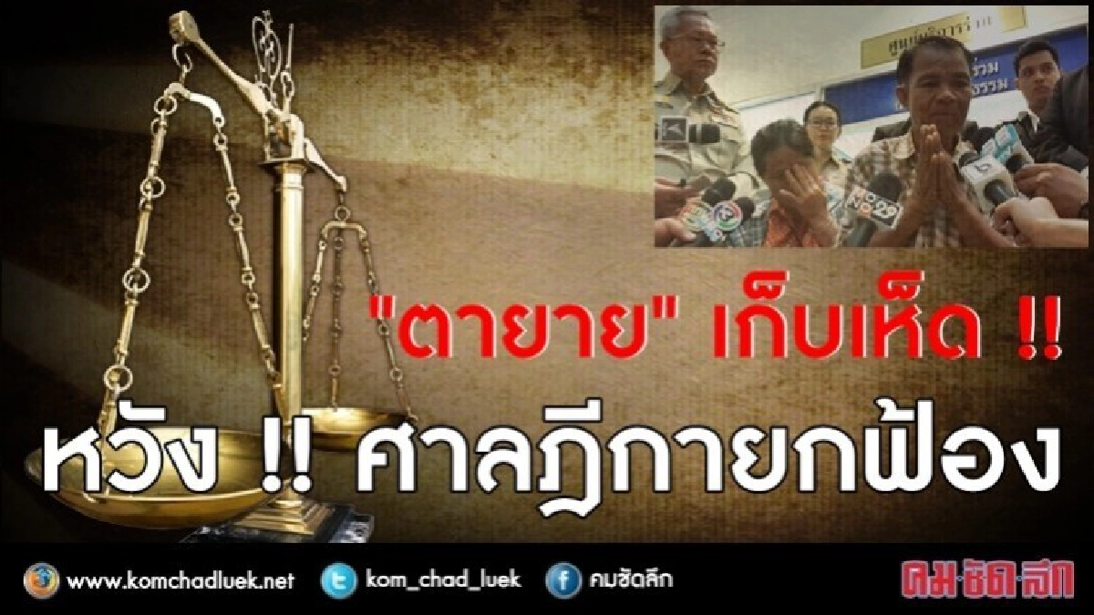 "ตายาย" เก็บเห็ด หวัง ศาลฎีกายกฟ้อง "ตายาย" เก็บเห็ด หวัง ศาลฎีกายกฟ้อง