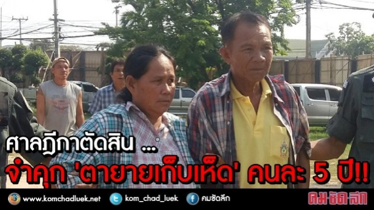 ศาลฎีกาตัดสิน จำคุก "ตายายเก็บเห็ด" คนละ 5 ปี ศาลฎีกาตัดสิน จำคุก "ตายายเก็บเห็ด" คนละ 5 ปี