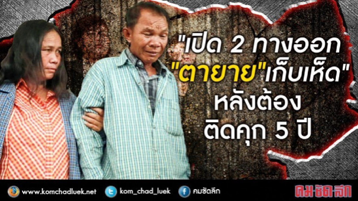 " เปิด 2 ทางออก "ตายาย" เก็บเห็ด"คุก 5 ปี 