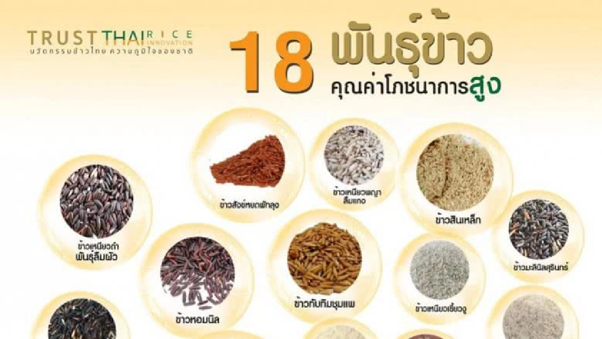 การค้าภายใน เร่งสร้างความตระหนักในคุณค่าข้าวไทย การค้าภายใน เร่งสร้างความตระหนักในคุณค่าข้าวไทย