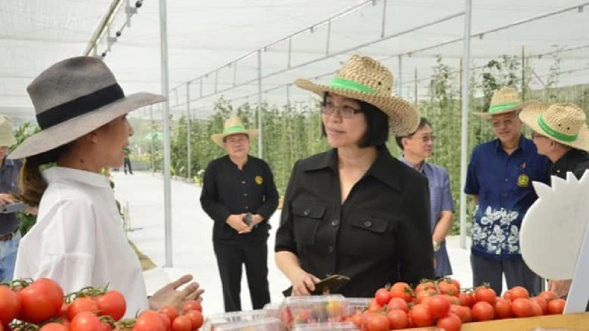 เกษตรฯจัดงานวันField Dayเตรียมพร้อมเข้าสู่ฤดูกาลผลิตใหม่