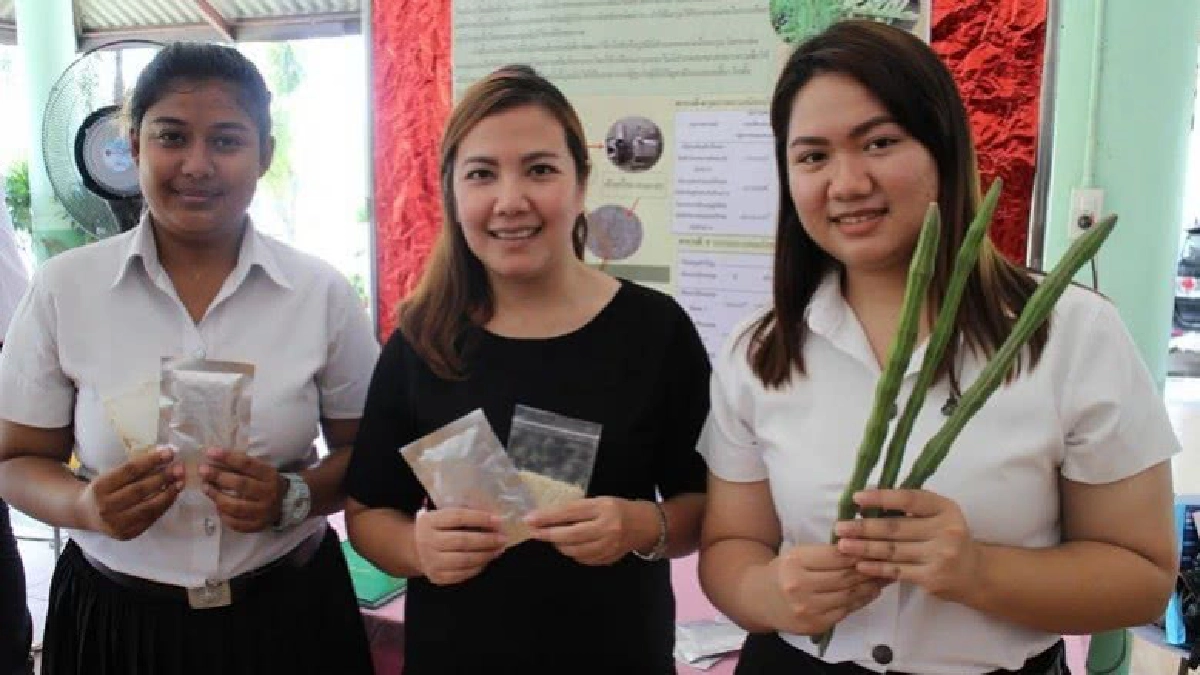 โจ๊กมะรุมกึ่งสำเร็จรูปเพื่อสุขภาพ 