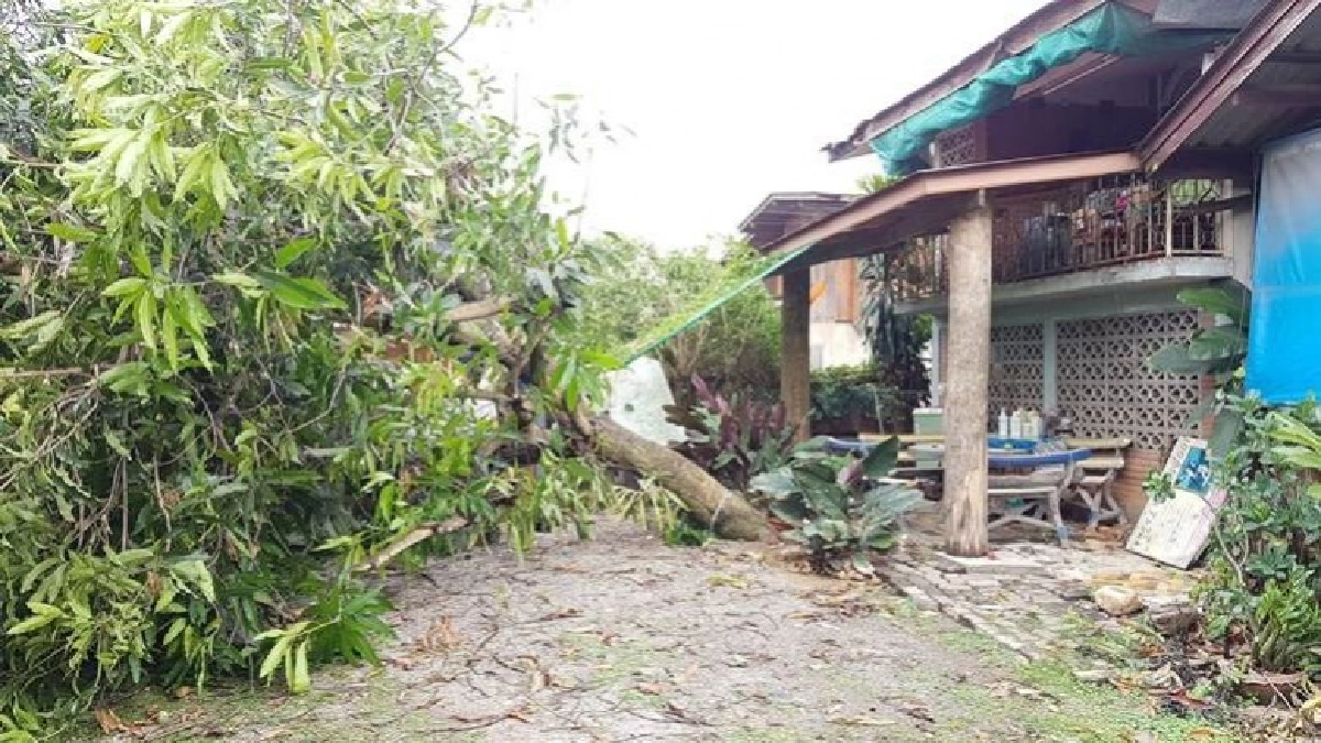 แพร่-พายุฤดูร้อนถล่ม4อำเภอ