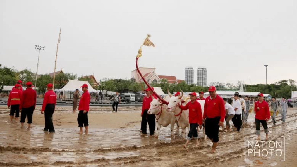 ซ้อมพระราชพิธีจรดพระนังคัลแรกนาขวัญ (ภาพชุด) ซ้อมพระราชพิธีจรดพระนังคัลแรกนาขวัญ (ภาพชุด)