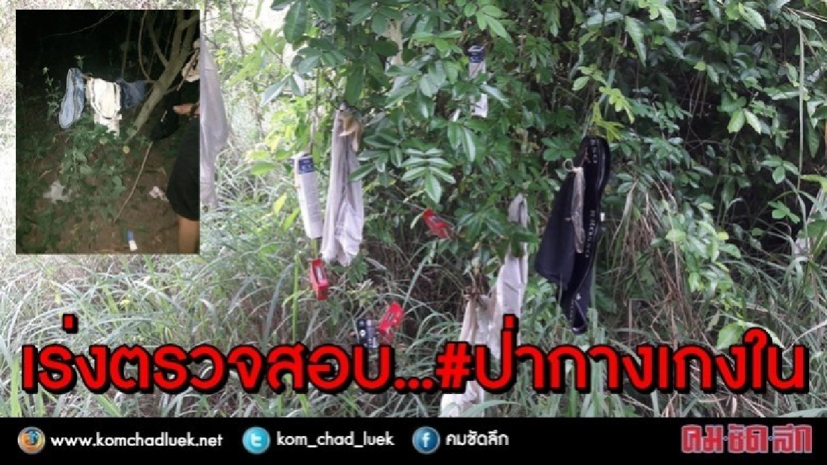 แกะรอย ตรวจสอบ ป่ากางเกงใน !! แกะรอย ตรวจสอบ ป่ากางเกงใน !!