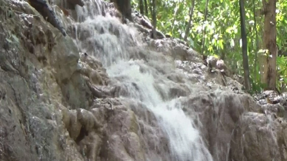 พบ“น้ำตก”แห่งใหม่มีรากไม้เป็นหินที่จ.ตรัง พบ“น้ำตก”แห่งใหม่มีรากไม้เป็นหินที่จ.ตรัง