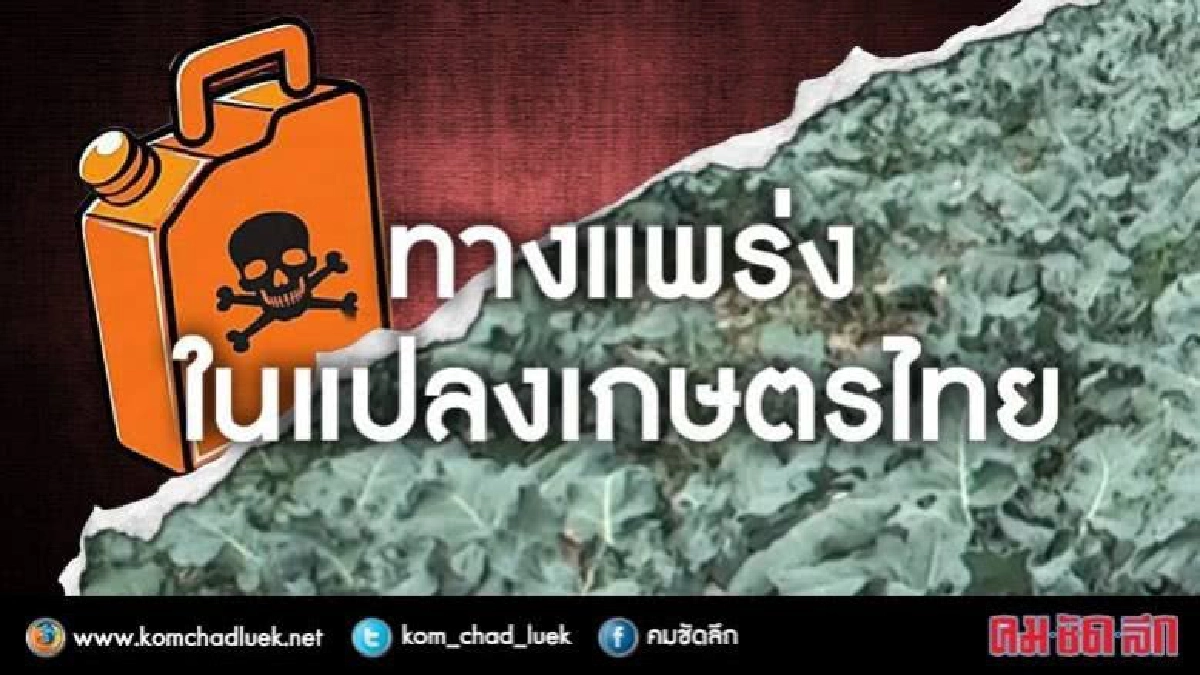 ทางแพร่งใน'แปลงเกษตร'ไทย ทางแพร่งใน'แปลงเกษตร'ไทย