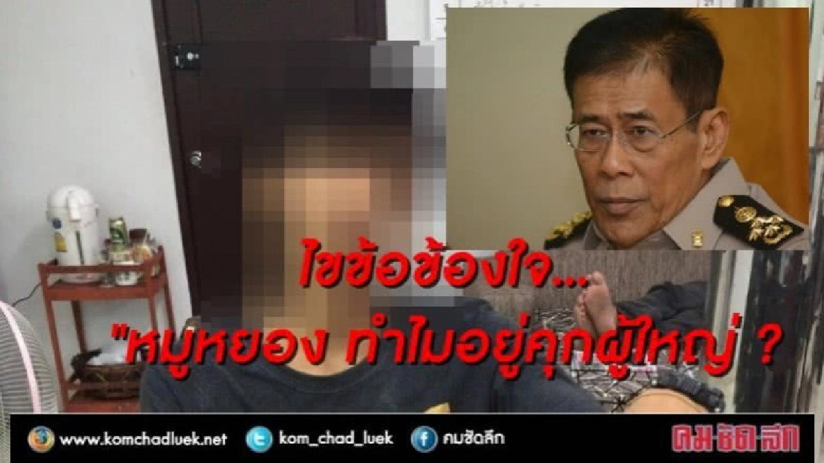 มาฟังกัน ทำไม "หมูหยอง" เข้าคุกผู้ใหญ่ได้ มาฟังกัน ทำไม "หมูหยอง" เข้าคุกผู้ใหญ่ได้