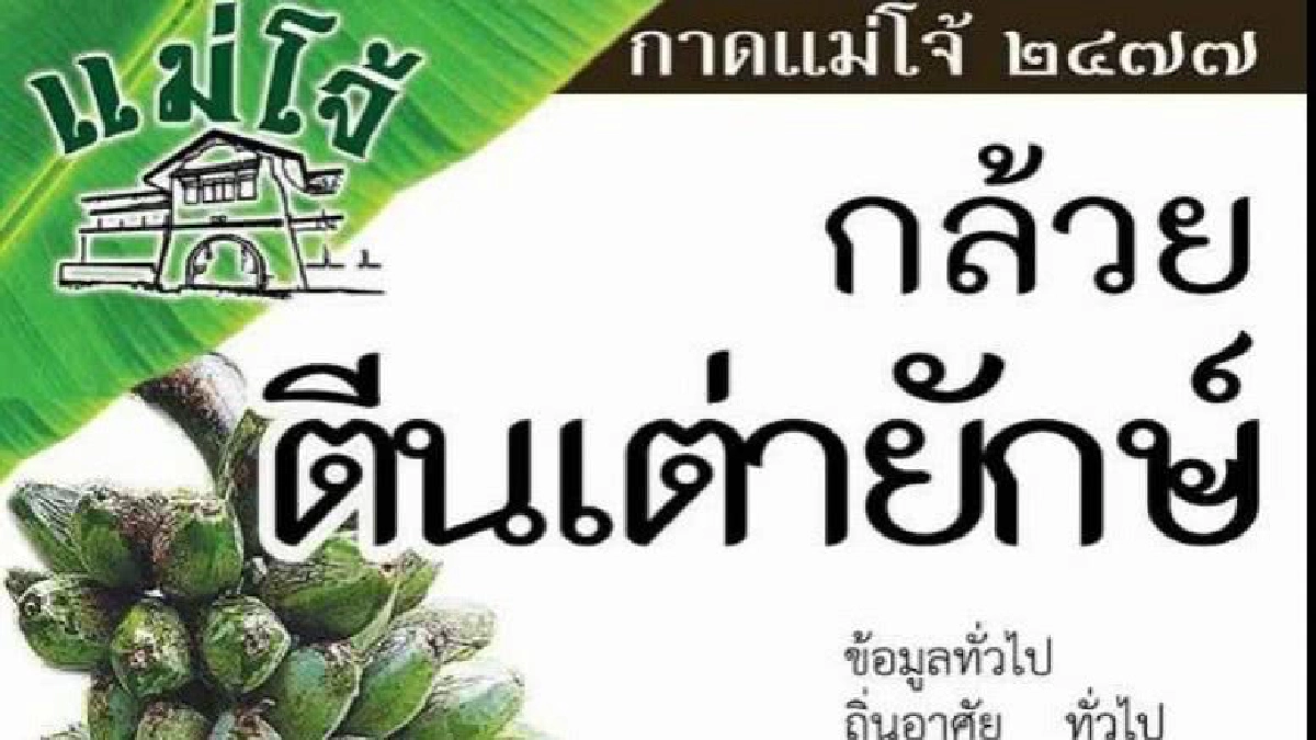 กาดแม่โจ้ 2477 วันศุกร์-เสาร์ นี้ มีแต่เรื่อง..กล้วย ๆ