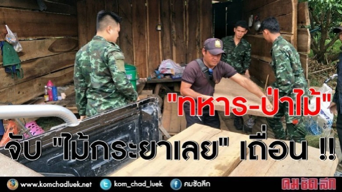 จับไม้กระยาเลยเถื่อนในกระท่อมกลางสวนลำไย จับไม้กระยาเลยเถื่อนในกระท่อมกลางสวนลำไย