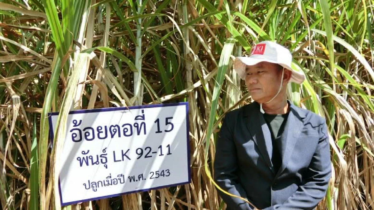 วีนัด สำราญวงศ์ เกษตรกรดีเด่นระดับประเทศ ปี 60 สาขาทำไร่