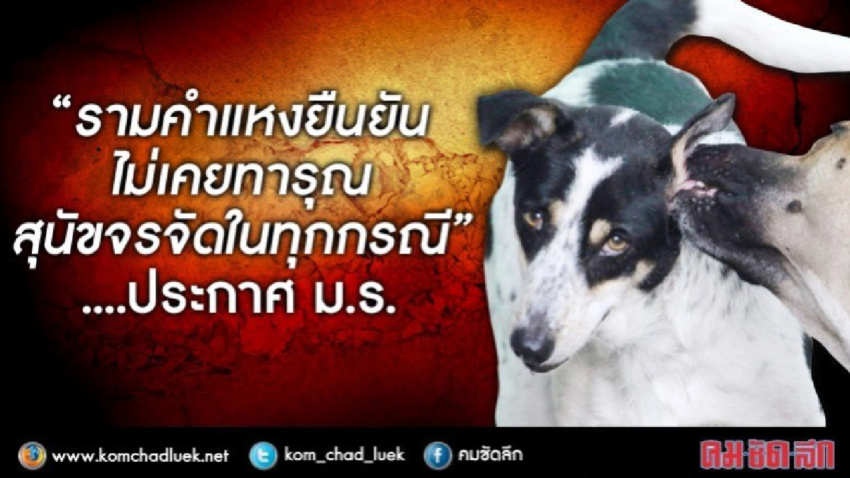 ม.รามคำแหง ยืนยัน"ไม่เคย"ทารุณสุนัขจรจัด ในทุกกรณี ม.รามคำแหง ยืนยัน"ไม่เคย"ทารุณสุนัขจรจัด ในทุกกรณี