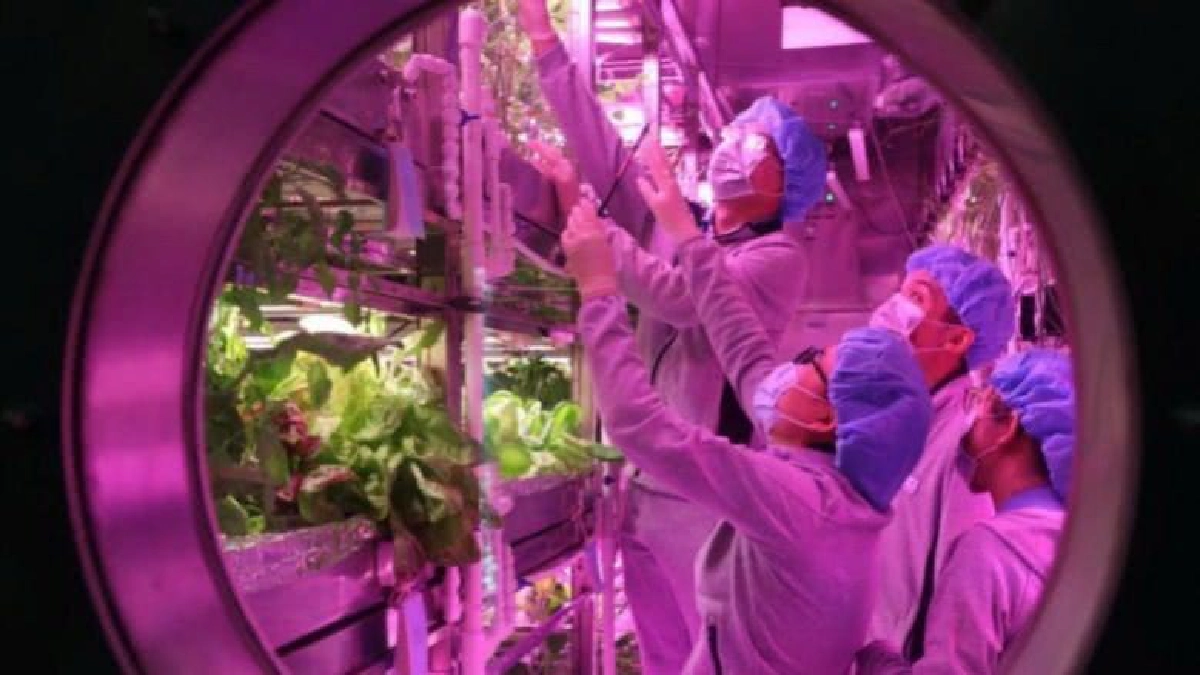 จีนทดสอบจำลองใช้ชีวิตบนดวงจันทร์