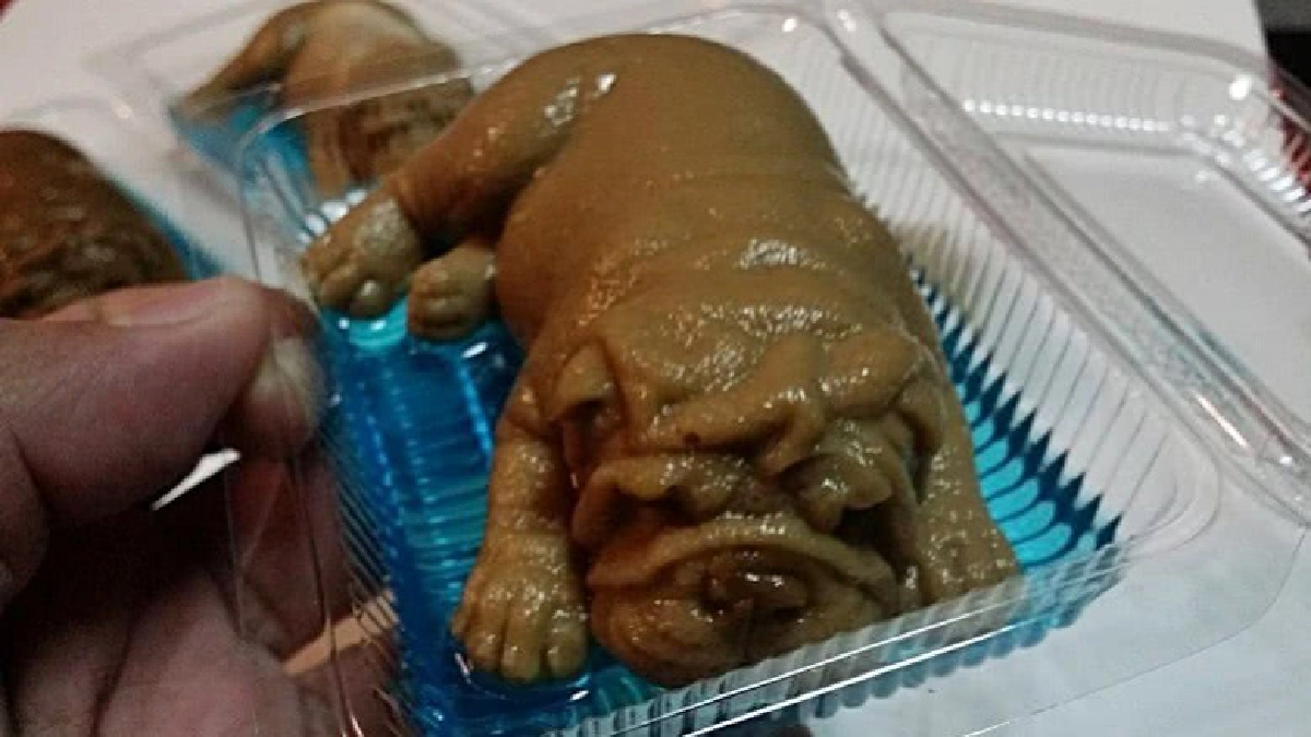 กล้ากินมั้ย! วุ้นกะทิน้องหมา กล้ากินมั้ย! วุ้นกะทิน้องหมา
