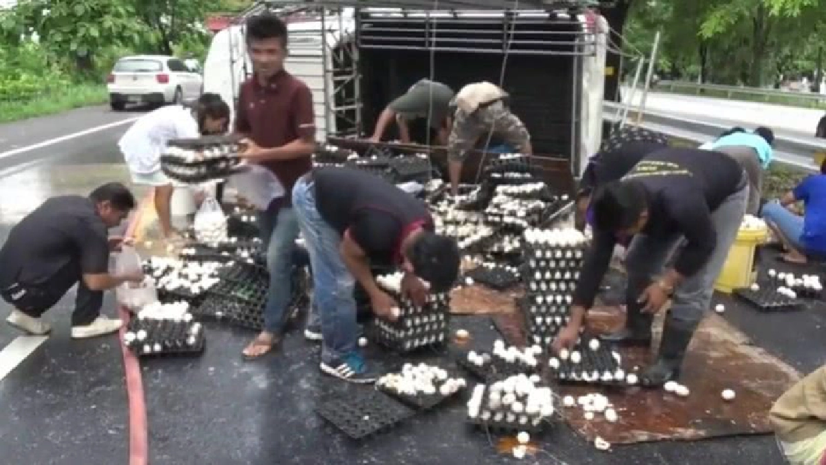 รถบรรทุกไข่ยางแตกเทกระจาดเกลื่อนถนน(ชมคลิป) รถบรรทุกไข่ยางแตกเทกระจาดเกลื่อนถนน(ชมคลิป)