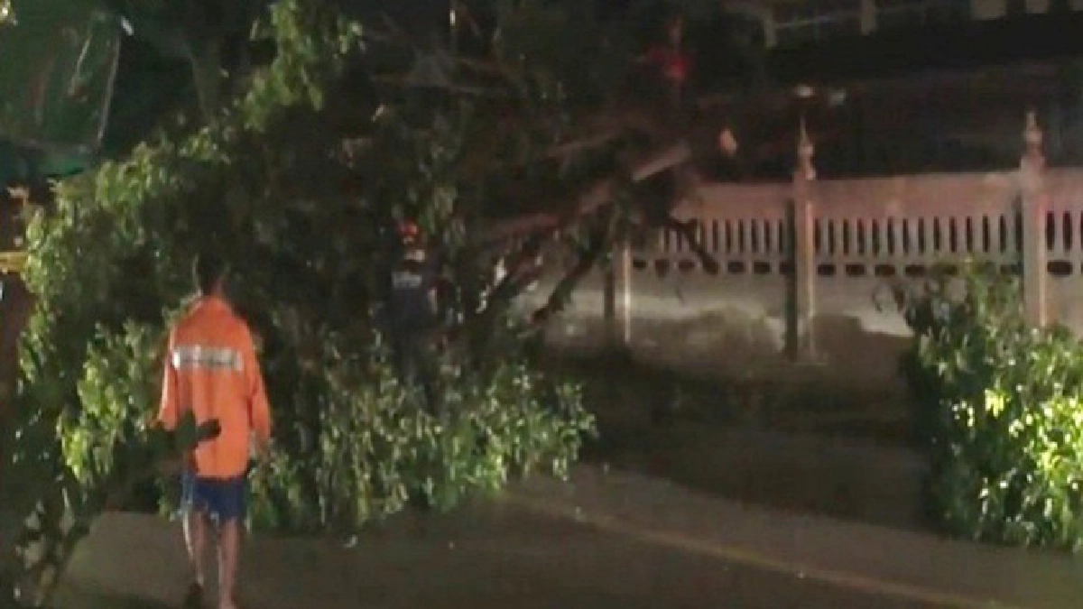 (ชมคลิป) พายุฝนถล่มพัทยาต้นไม้ขนาดใหญ่โค่นขวางถนน (ชมคลิป) พายุฝนถล่มพัทยาต้นไม้ขนาดใหญ่โค่นขวางถนน