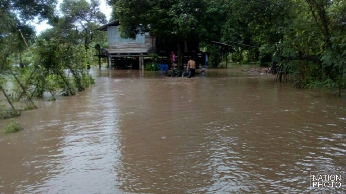 พิษณุโลกอ่วม! ฝนตกหนัก น้ำทวมหลายตำบล พิษณุโลกอ่วม! ฝนตกหนัก น้ำทวมหลายตำบล
