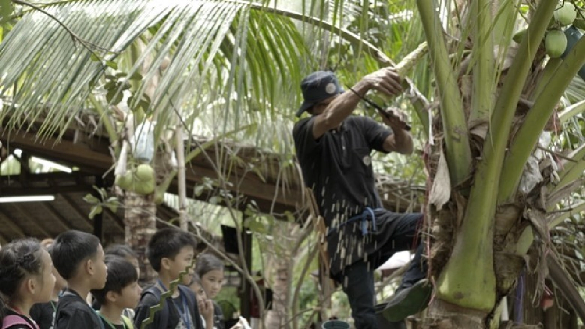 เปิดหนังสือ..ตามรอยพระราชาไป “อัมพวา”