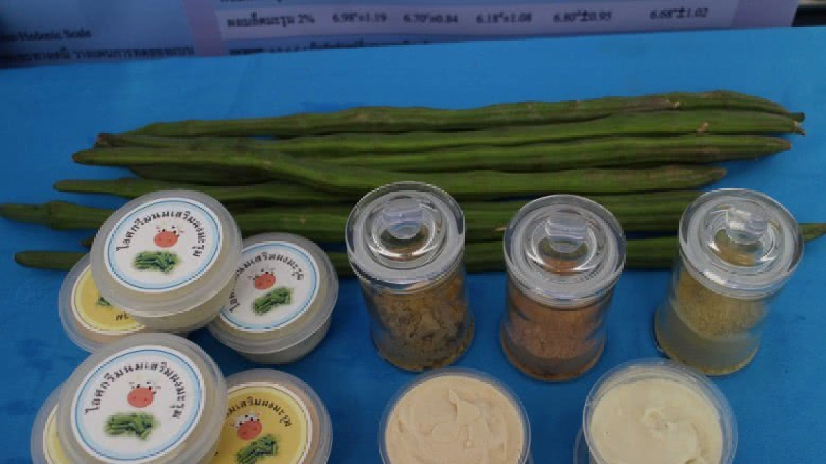 ไอศกรีมนมมะรุม ต้านอนุมูลอิสระ 