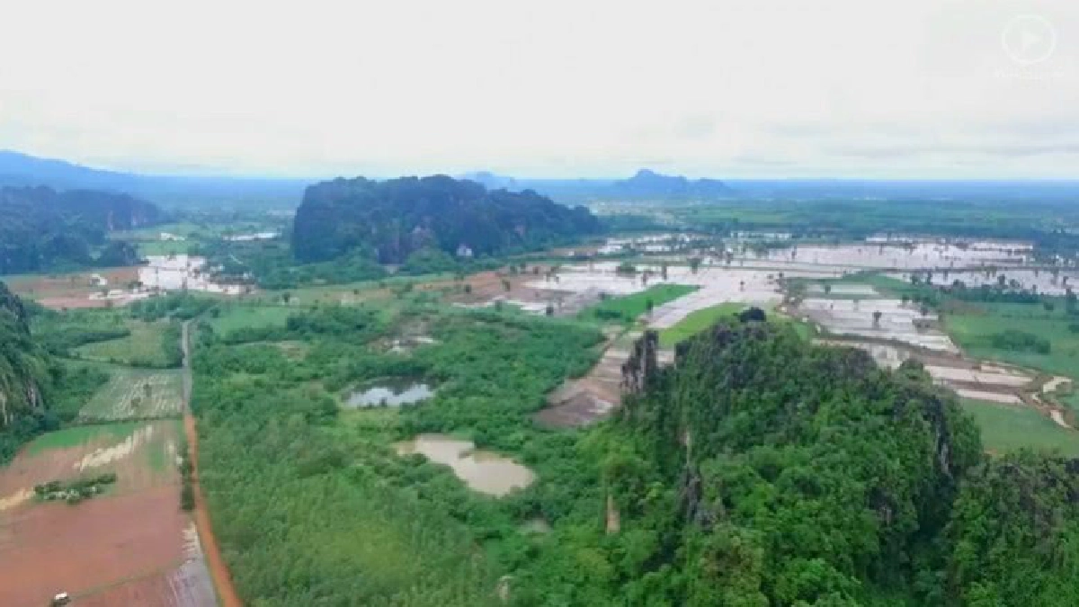 (คลิป)แห่เที่ยวเนินมะปรางหน้าฝน ชมสายหมอกสลับขุนเขา