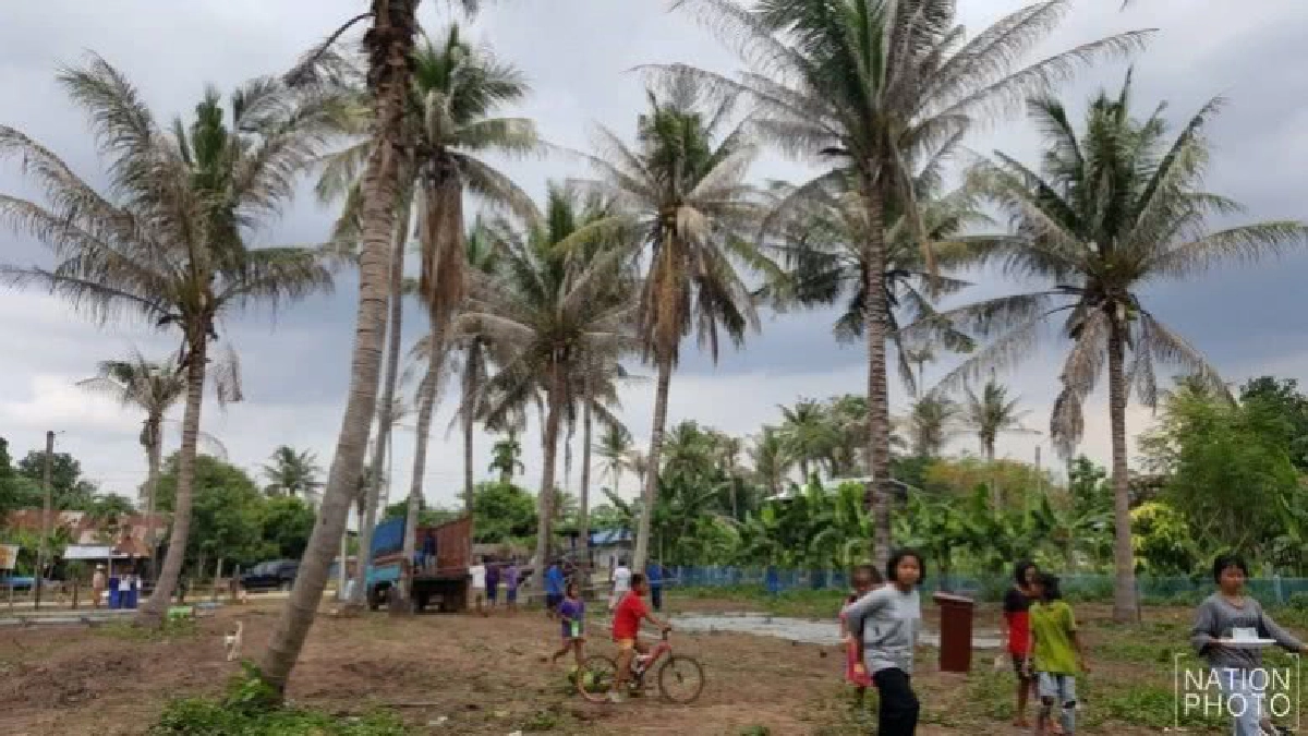 ฝนหลวงฯ ช่วยเกษตรกรสวนมะพร้าวกำจัดหนอนหัวดำ