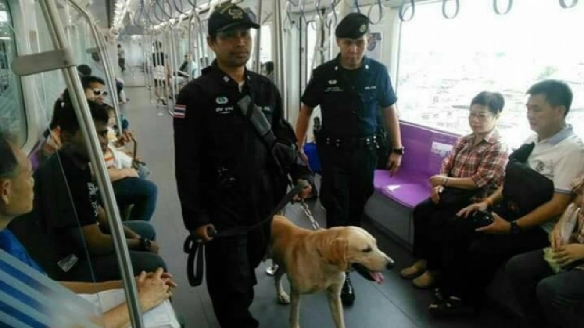 รฟม.คุมเข้มในสถานีและขบวนรถไฟฟ้า